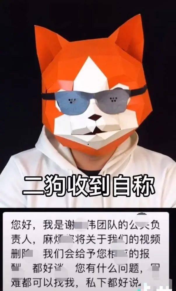 嘎子爆料网红视频,视频爆料背后的惊人真相