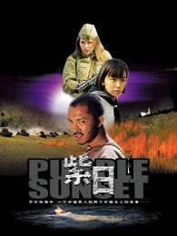 紫日在线观看免费,探寻历史光影下的青春记忆